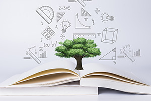 北京东方红学校