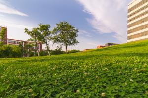 北京东方红学校的教育理念是什么?